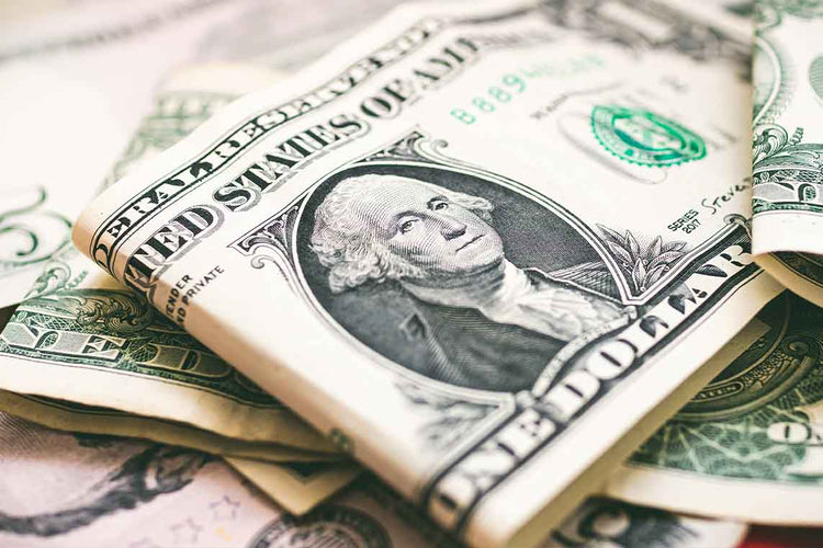 history of the US dollar